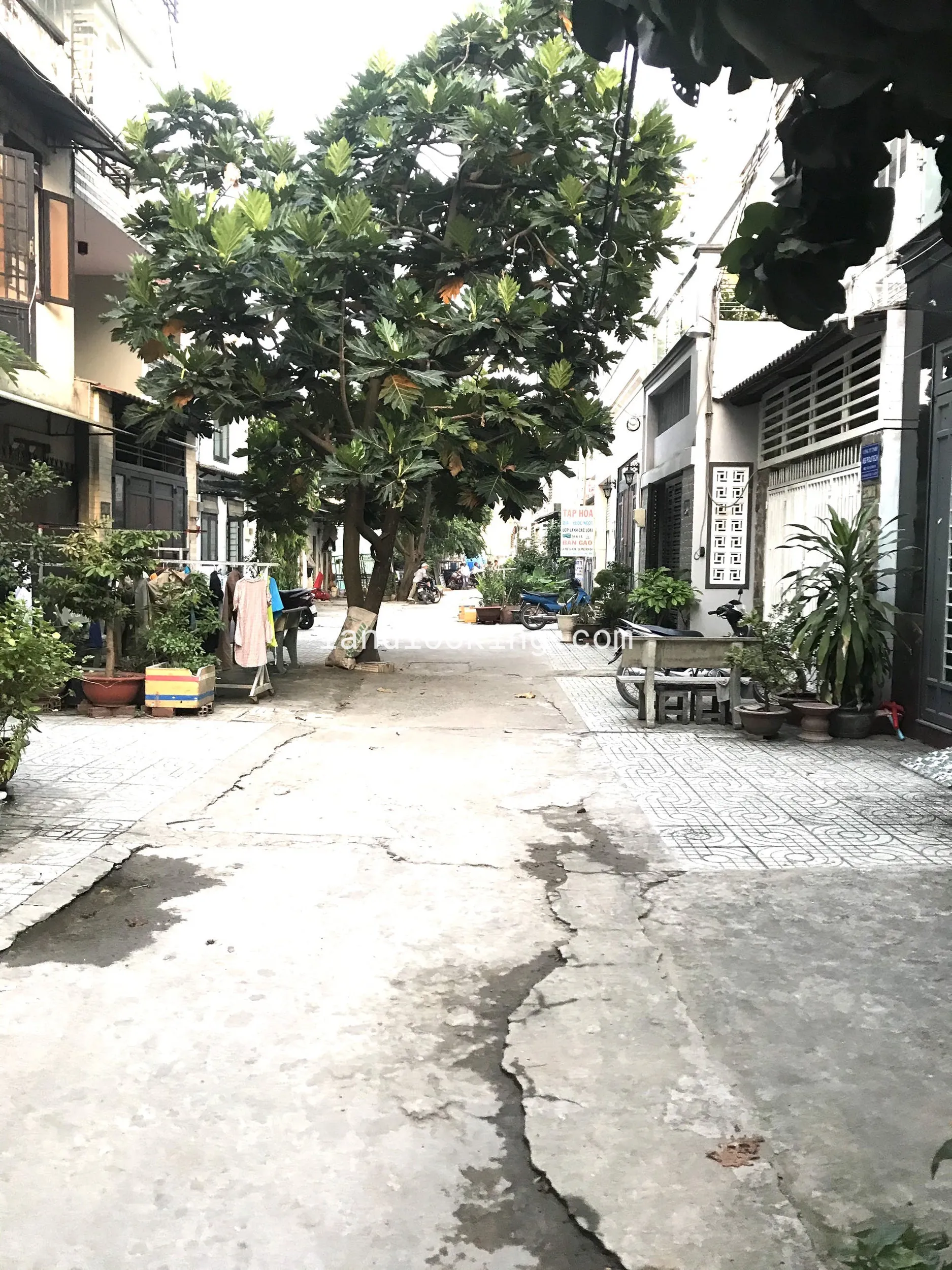 237/60/12 - Phạm Văn Chiêu, Phường 14, Quận Gò Vấp - ảnh 3